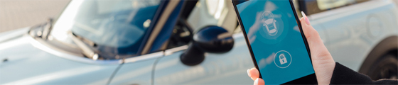 mobile car lock