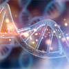 strand of DNA