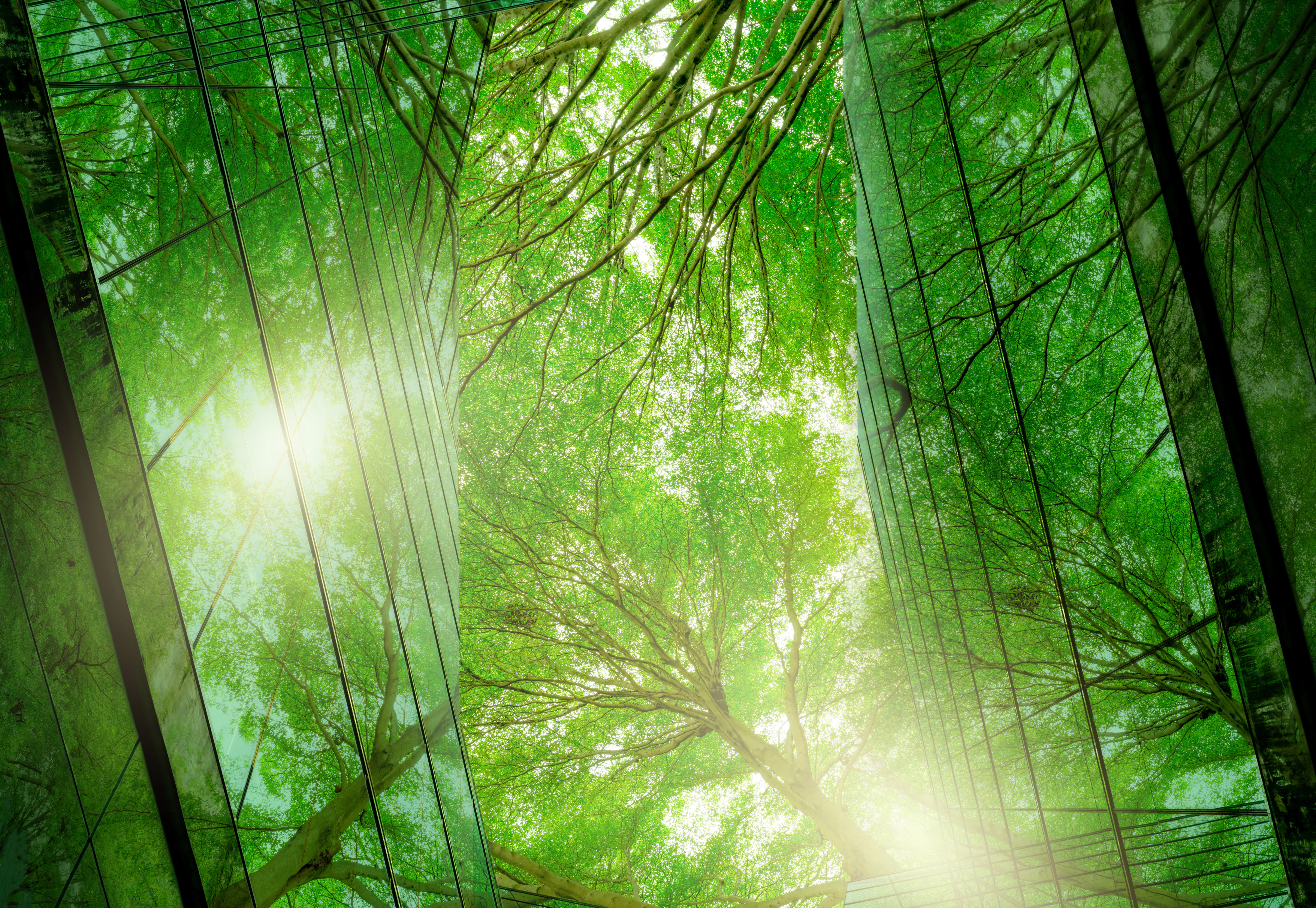 Sustainability