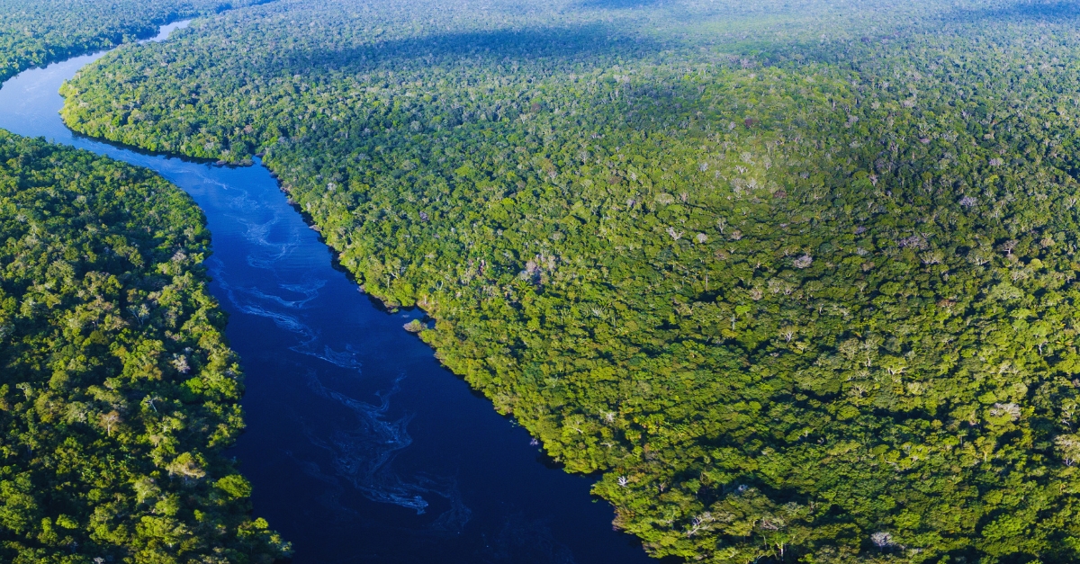 COP30 DispatchNavigating the Next Phase of Climate Action | Bureau ...