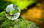 ENVIRONMENTAL