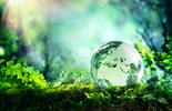 sustainability