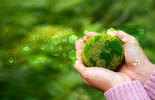 Sustainability_HCMC_masterclass