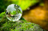 Sustainability Globe