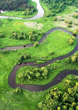 Sustainability Summit