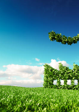 Sustainability©AdobeStock