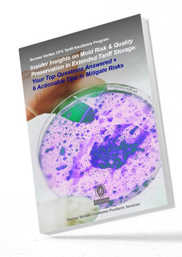 Service Spotlight - Mold Prevention Q&A