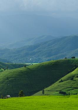 Farm