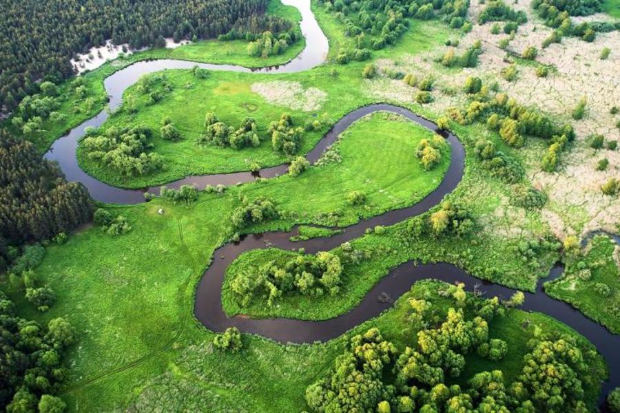 Sustainability Summit