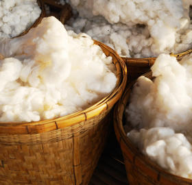 raw material cotton